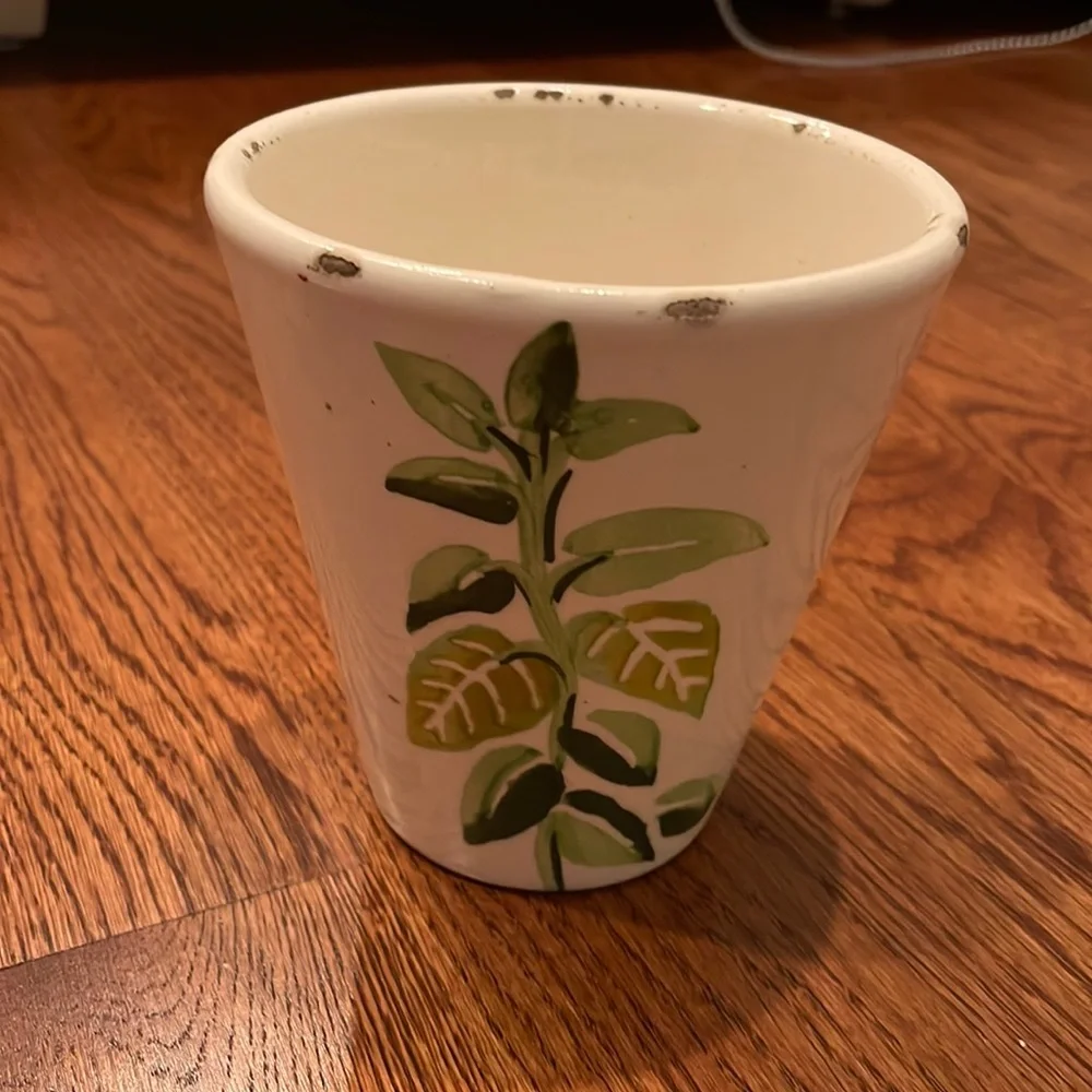 Crate & Barrel Basil planter