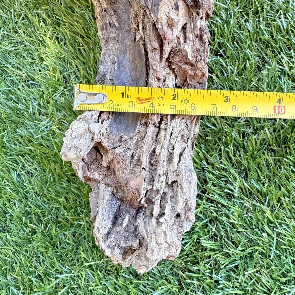 Unbranded natural driftwood