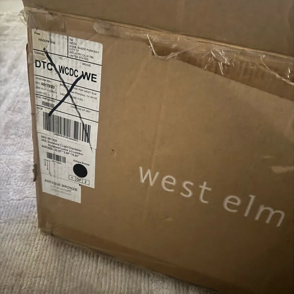 West Elm light stylish