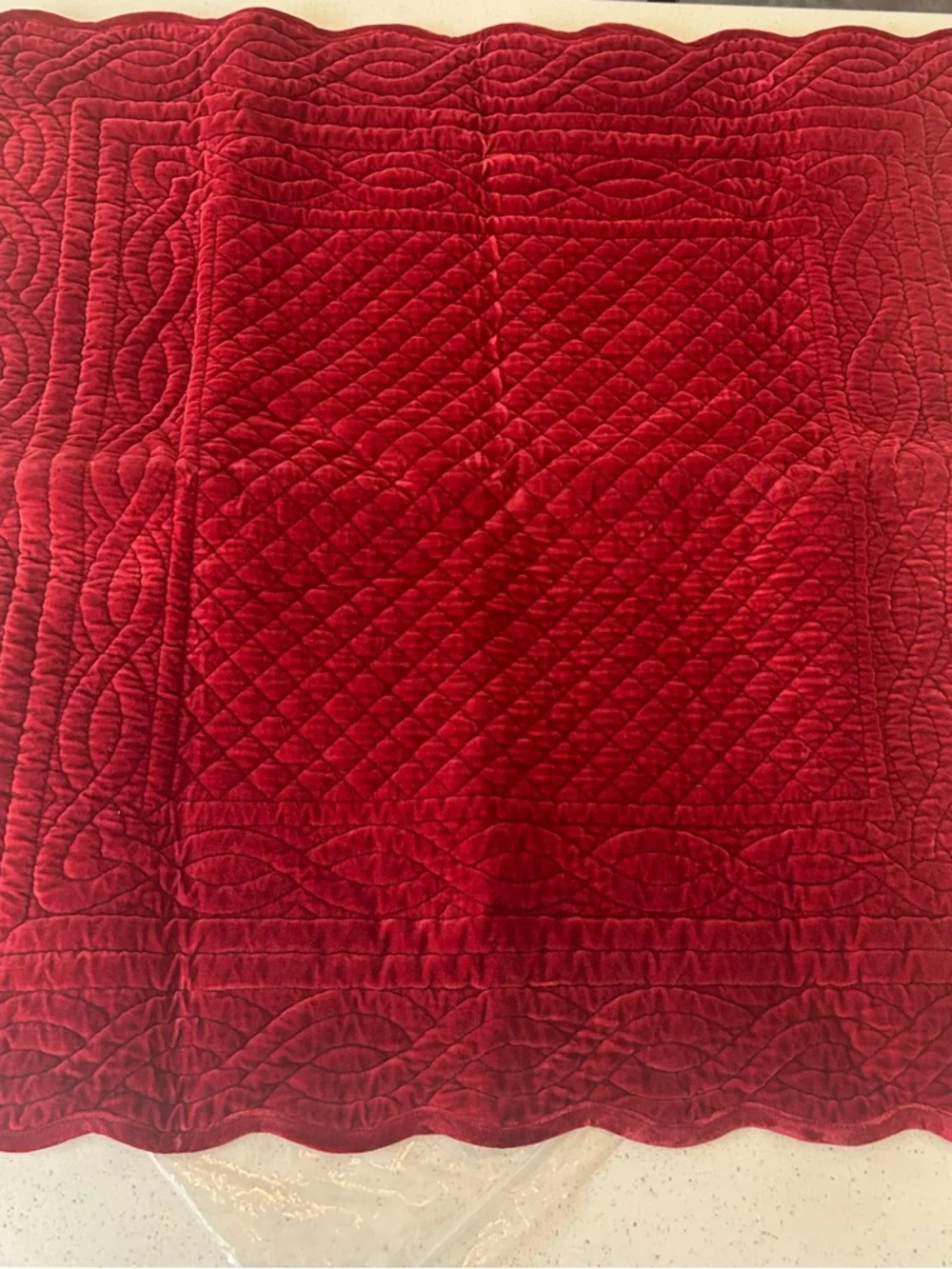 Pottery Barn Velvet Heirloom Euro Pillow Sham 1 Ruby Red RARE