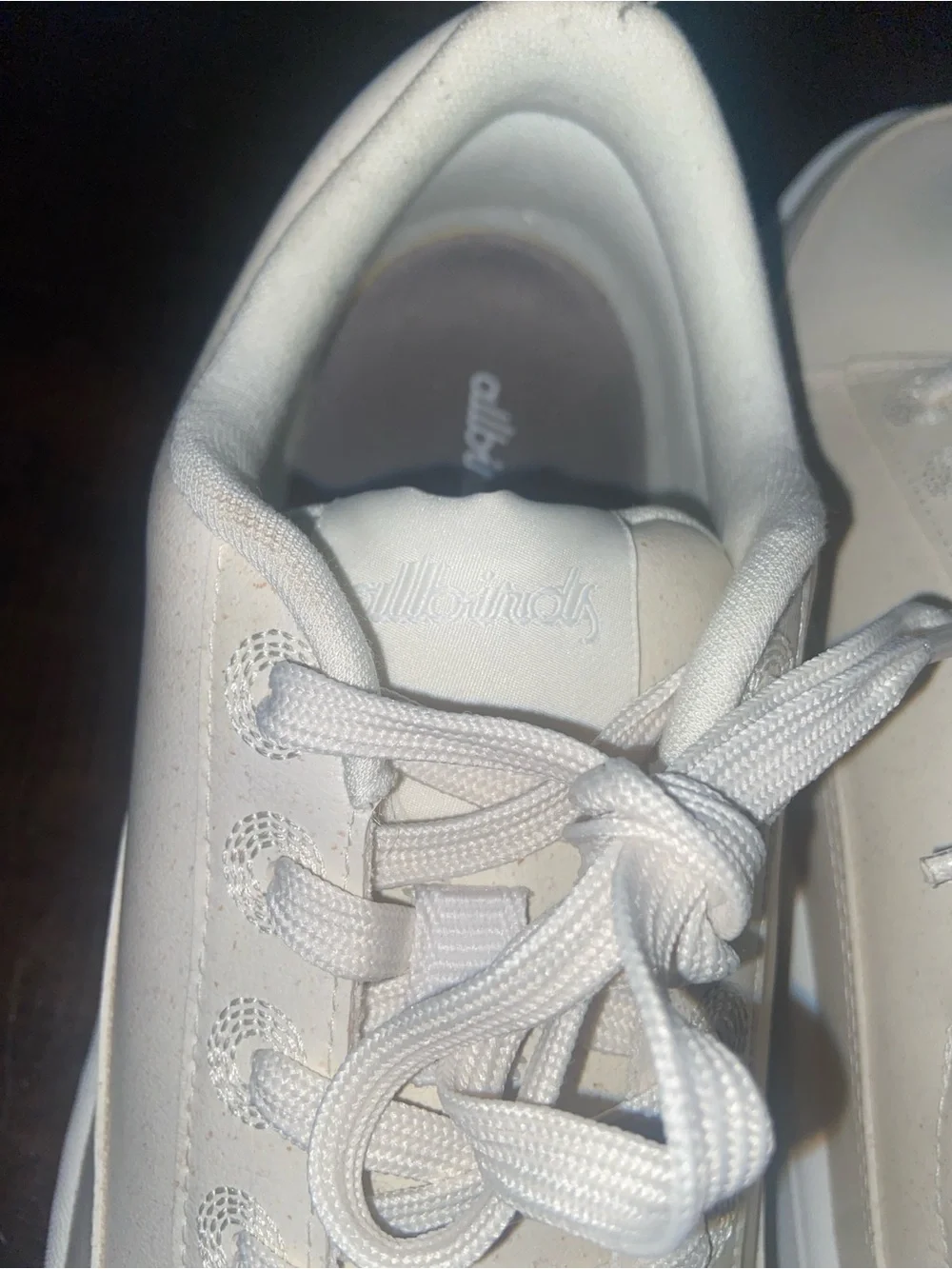 allbirds casual low