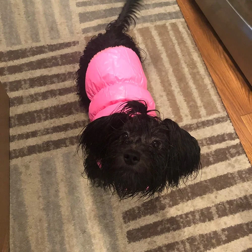 Brand new pink puffer dog jacket – Size Medium 💗🐶