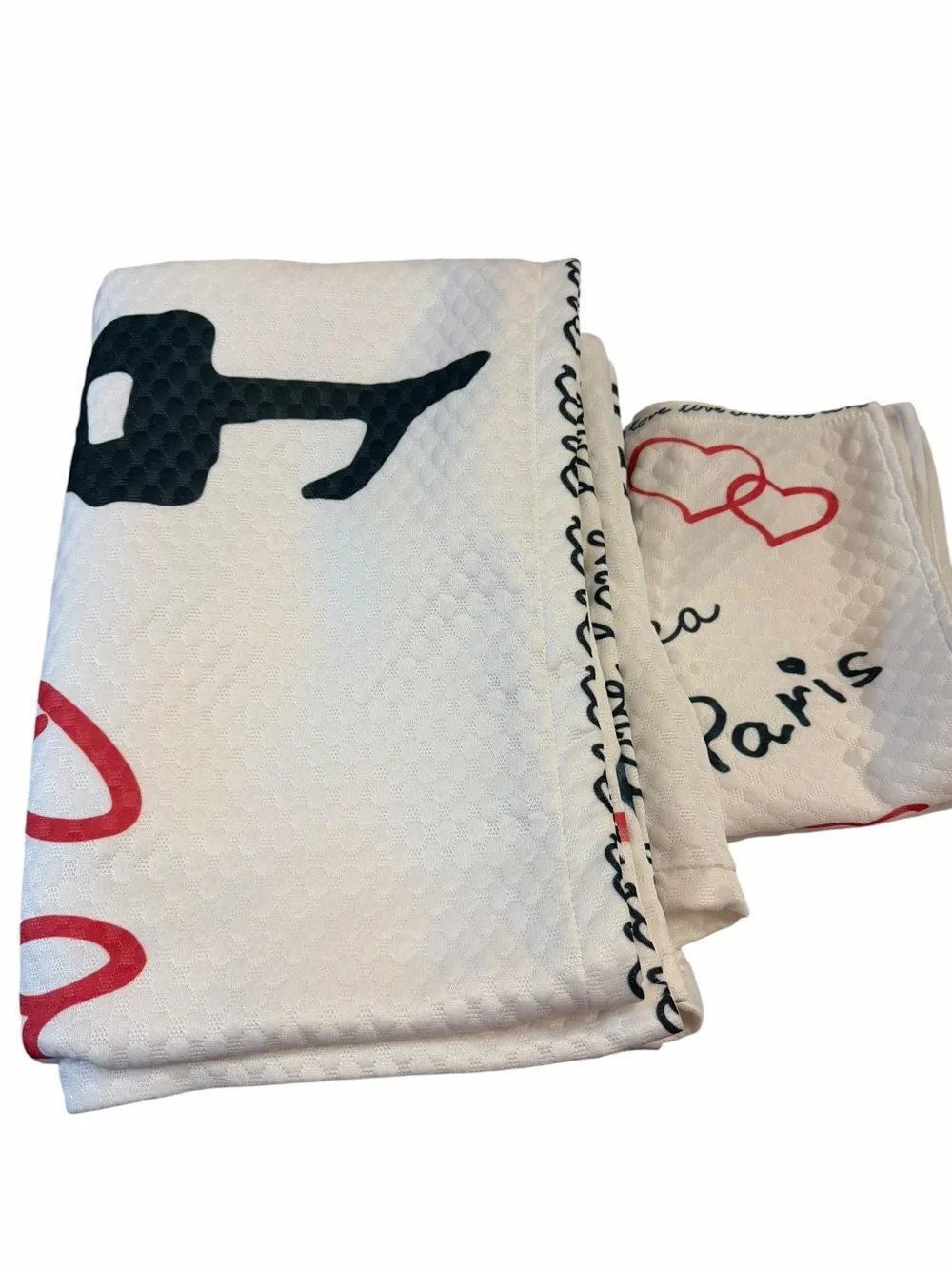 Eiffel Tower Paris Print Throw Pillow Cover - White, Black & Red