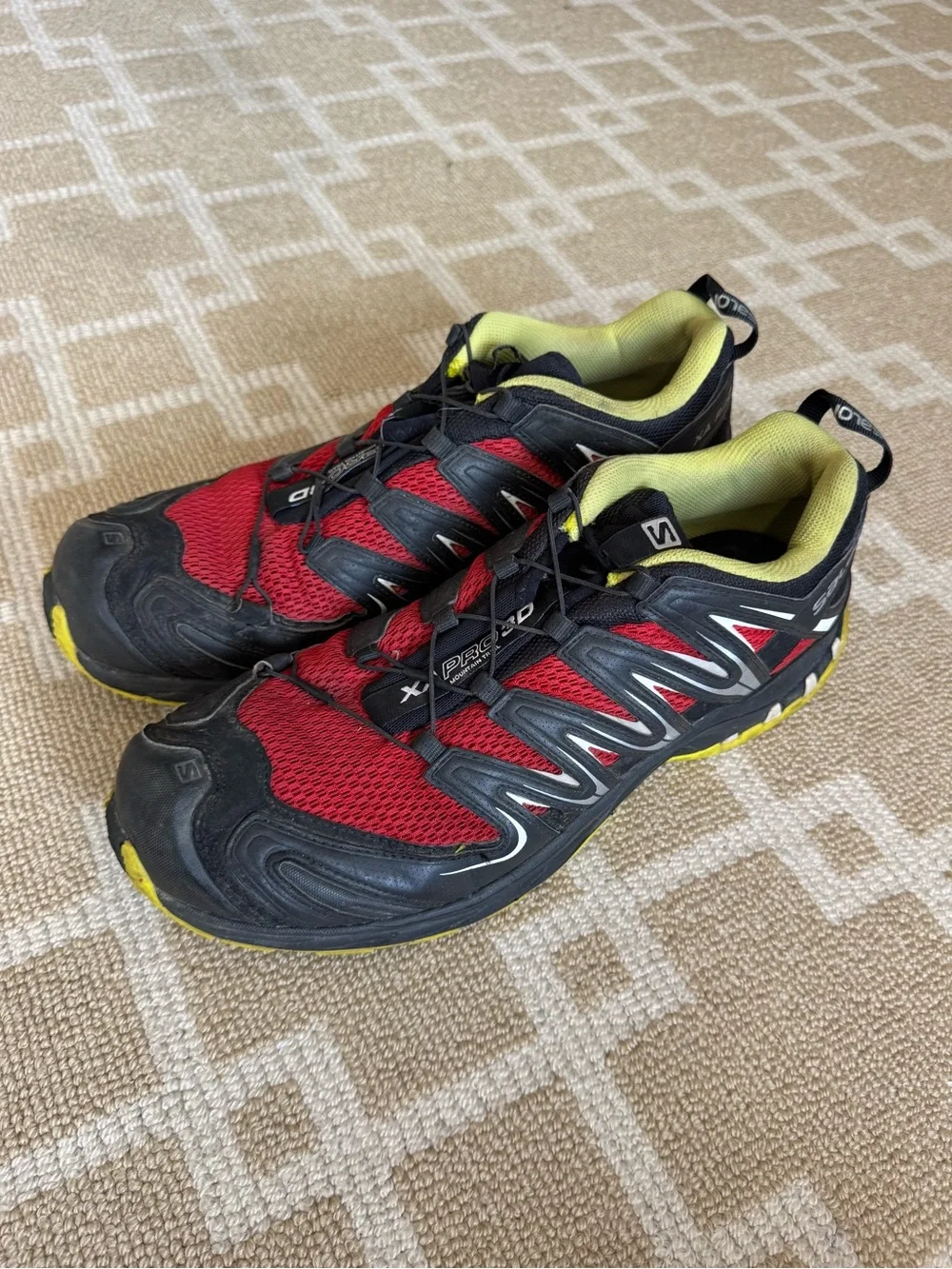 Salomon protective shoe support