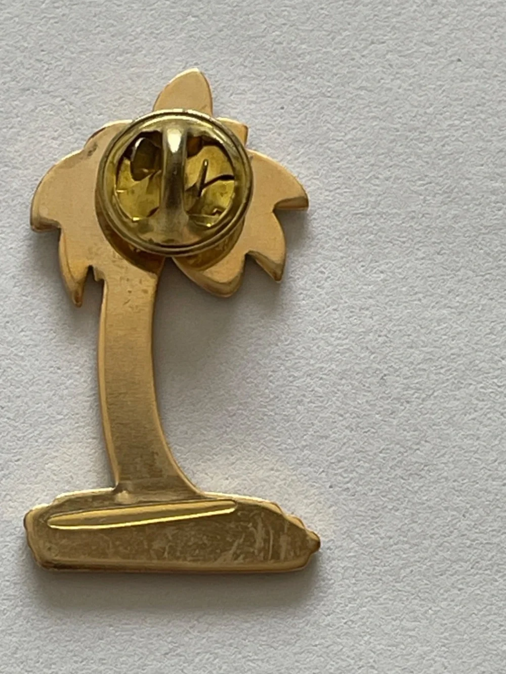 Girl Scouts longer pins green