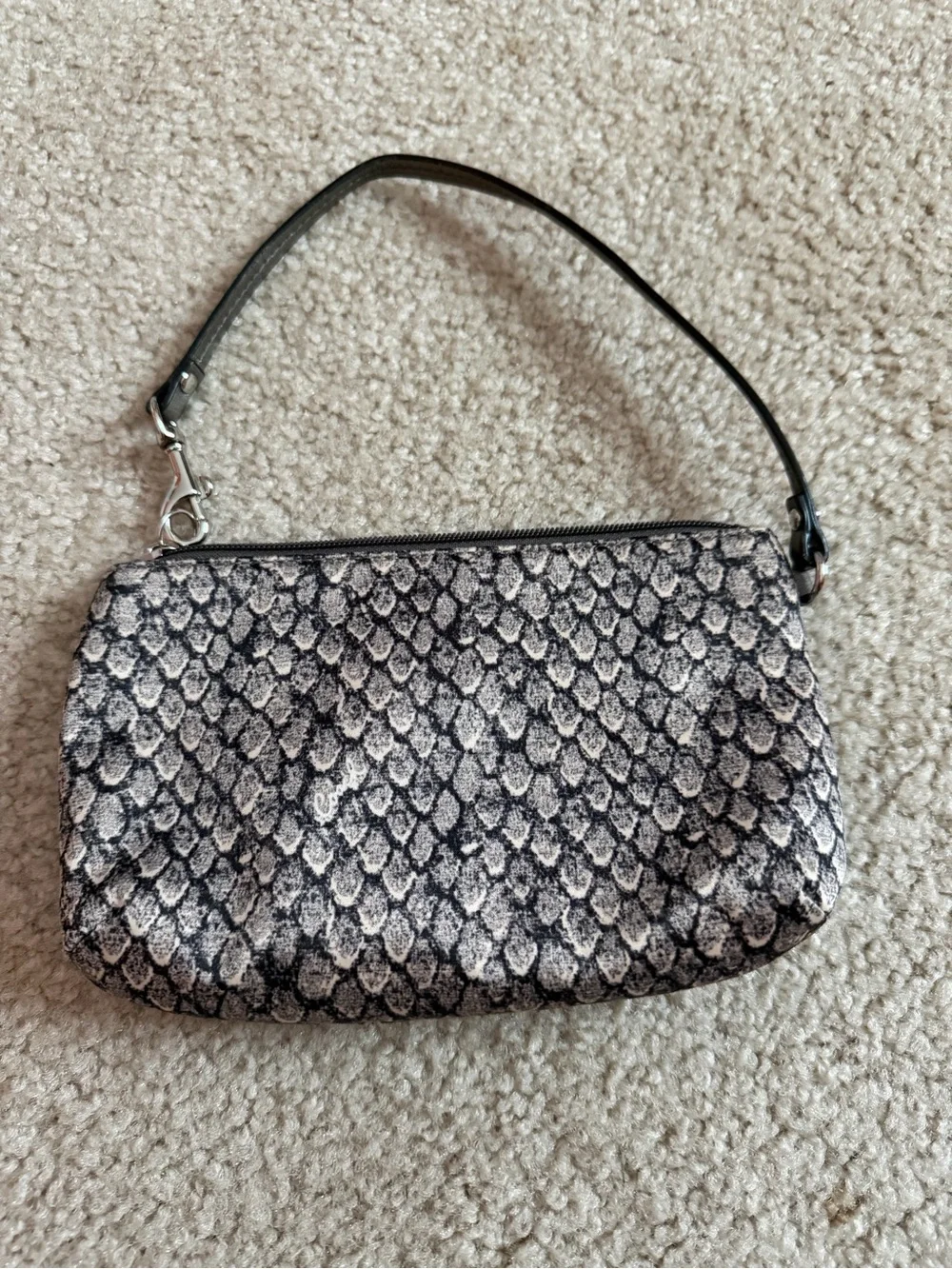 Coach design snake easy