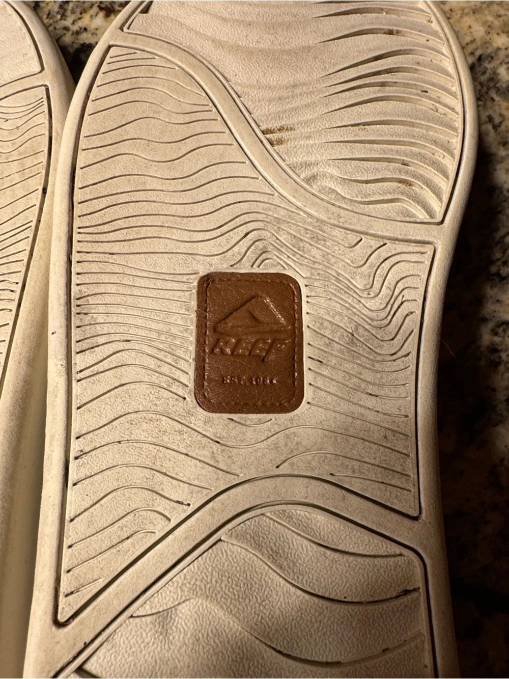 Reef spiniker mid