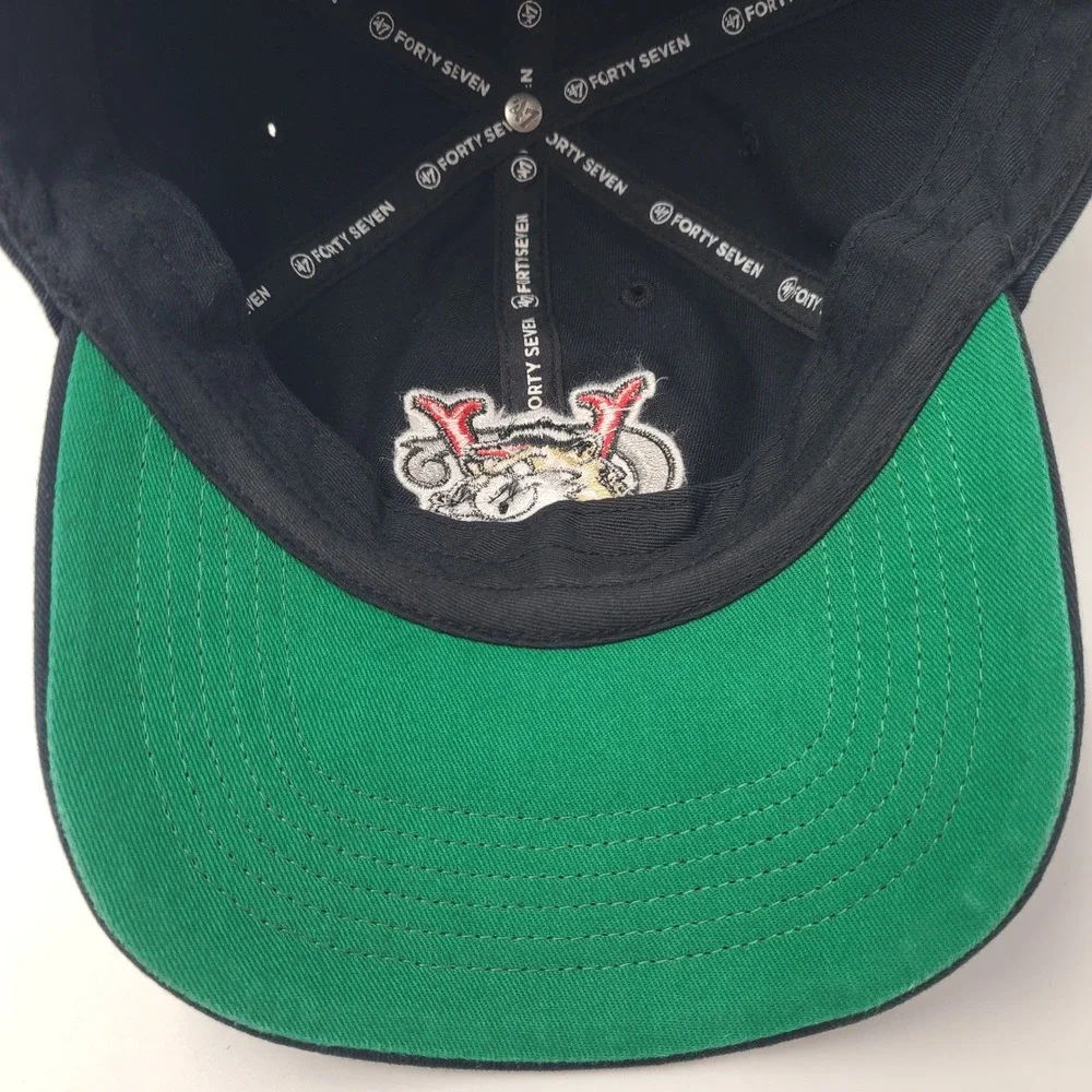 '47 valleycats 47 environment