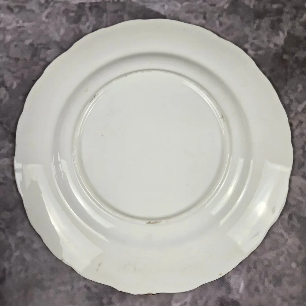 None size cup