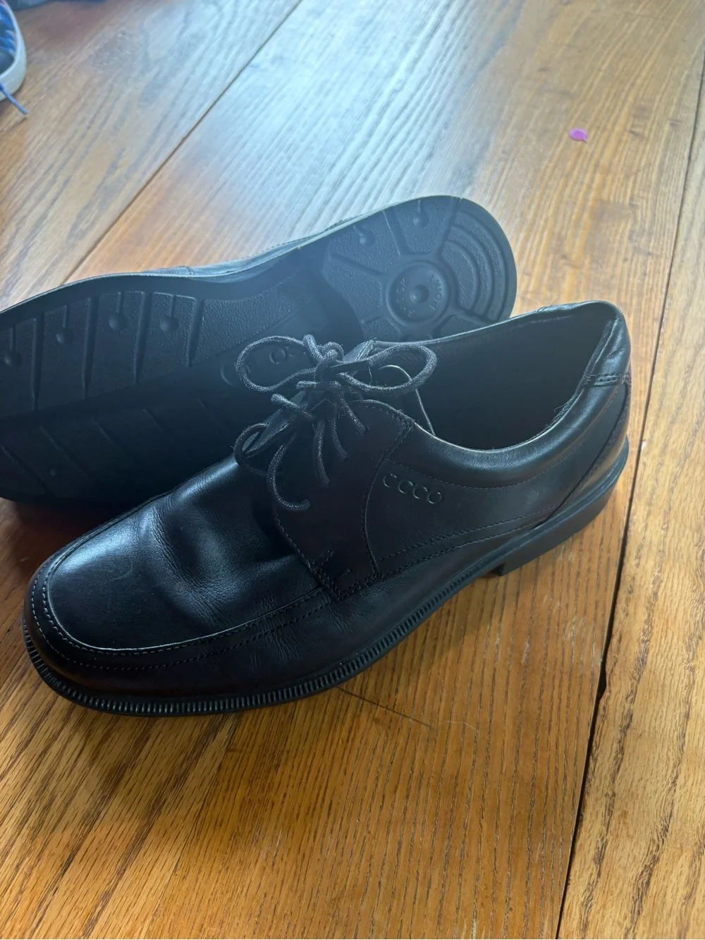 Ecco smooth black