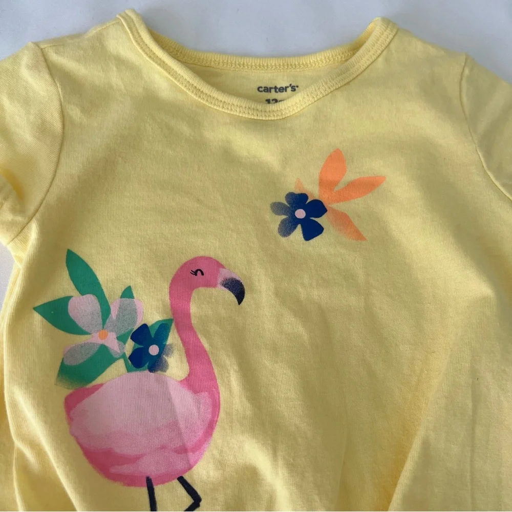 Toddler 2-Piece Flamingo Tee &‎ Short Set