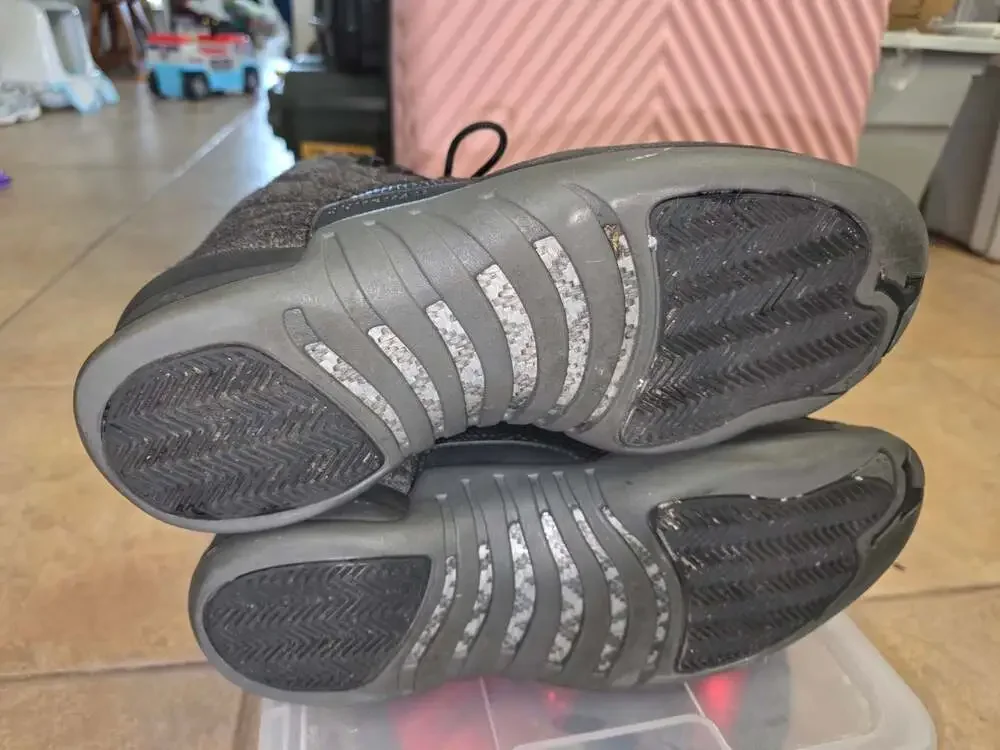 Jordan air 12