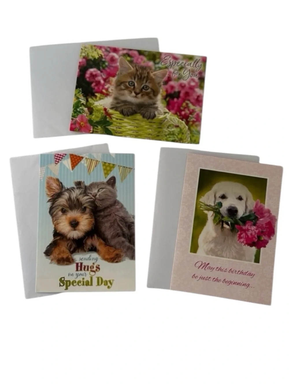 🦋 5/$25 - Dogs and Cats Themed Birthday Card Set