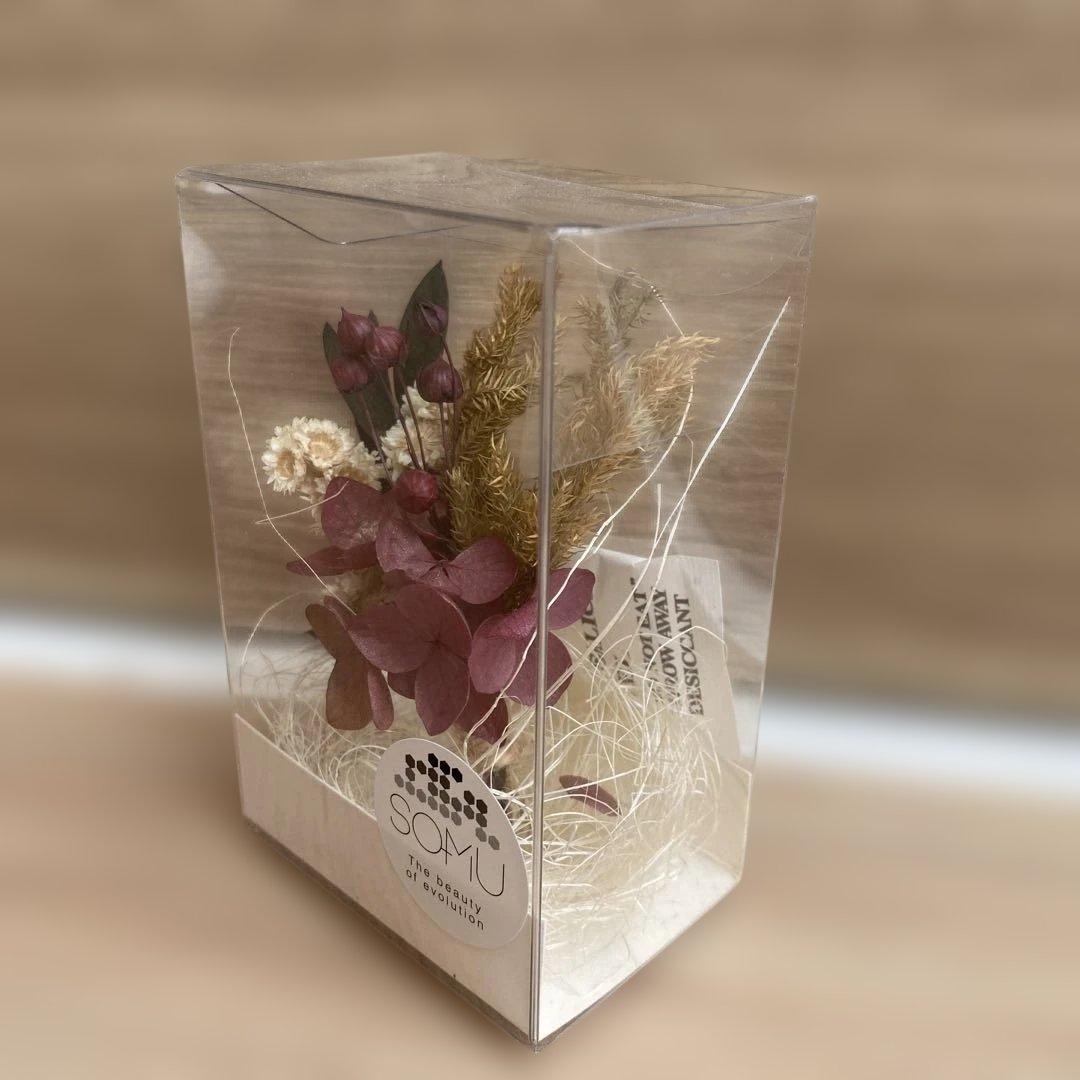 SOMU Preserved Flower Arrangement